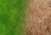 华北春旱的原因？