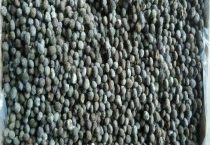 兔粪与羊粪的肥效比较