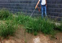 敌草快除草剂使用多久？