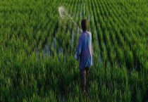 磷肥和磷酸二氢钾一样吗？