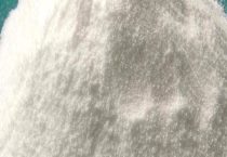 大蒜生长需要什么？