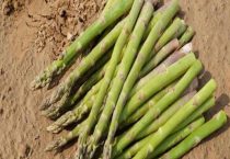 芦笋属于什么类蔬菜