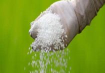 植物氮肥有哪些？