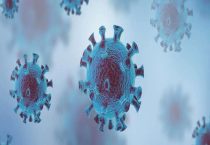 硝化细菌是自养生物吗？