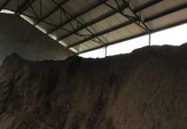 酵素肥与有机肥的区别？