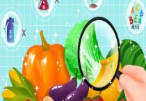 氟虫腈为什么被禁用