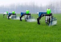 一袋75赤霉素1克兑水多少斤