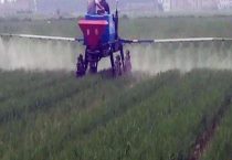 乙蒜素的作用和用途