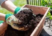 石硫合剂的配方