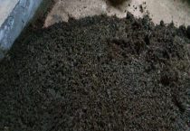 含钾最高的农家肥是什么？