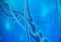 二恶英是怎么生成的