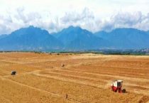 农用有机硅用途