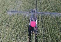 精喹禾灵打不死什么草