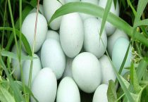 如何在业余时间赚钱