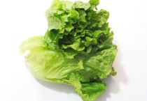 生菜生吃是甜的还是苦的？生菜生吃会有寄生虫吗？