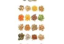 种什么花比较赚钱