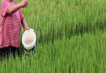 氮肥在土壤中的损失途径有哪些？