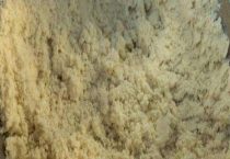 新鲜豆渣泡水沤肥要几天