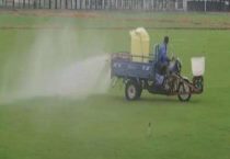 敌杀死主要杀什么虫