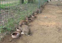 什么水产养殖最赚钱