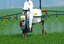 除草剂打完几个小时下雨没事