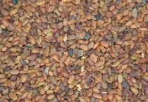 兔养殖销售方式