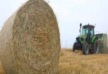 小麦秸秆有什么用途