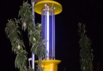 黑光灯对哪些害虫能起到诱杀作用