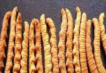 虫草真的是虫子变来的吗？