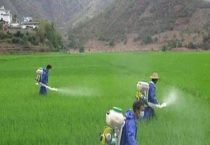 盖草能和精喹禾灵的区别？