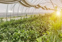 电热温床的节能措施