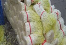 韭黄和蒜黄是一样的吗？