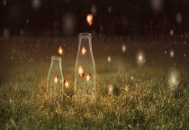 萤火虫最怕什么农药